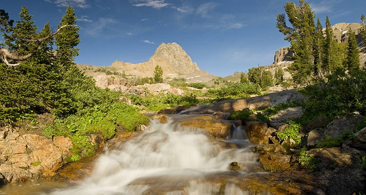 image of buck mountain in jedediah smiith wilderness