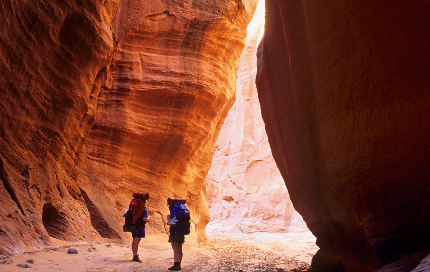 Buckskin Gulch Paria Canyon-Vermilion Cliffs Wilderness, Arizona