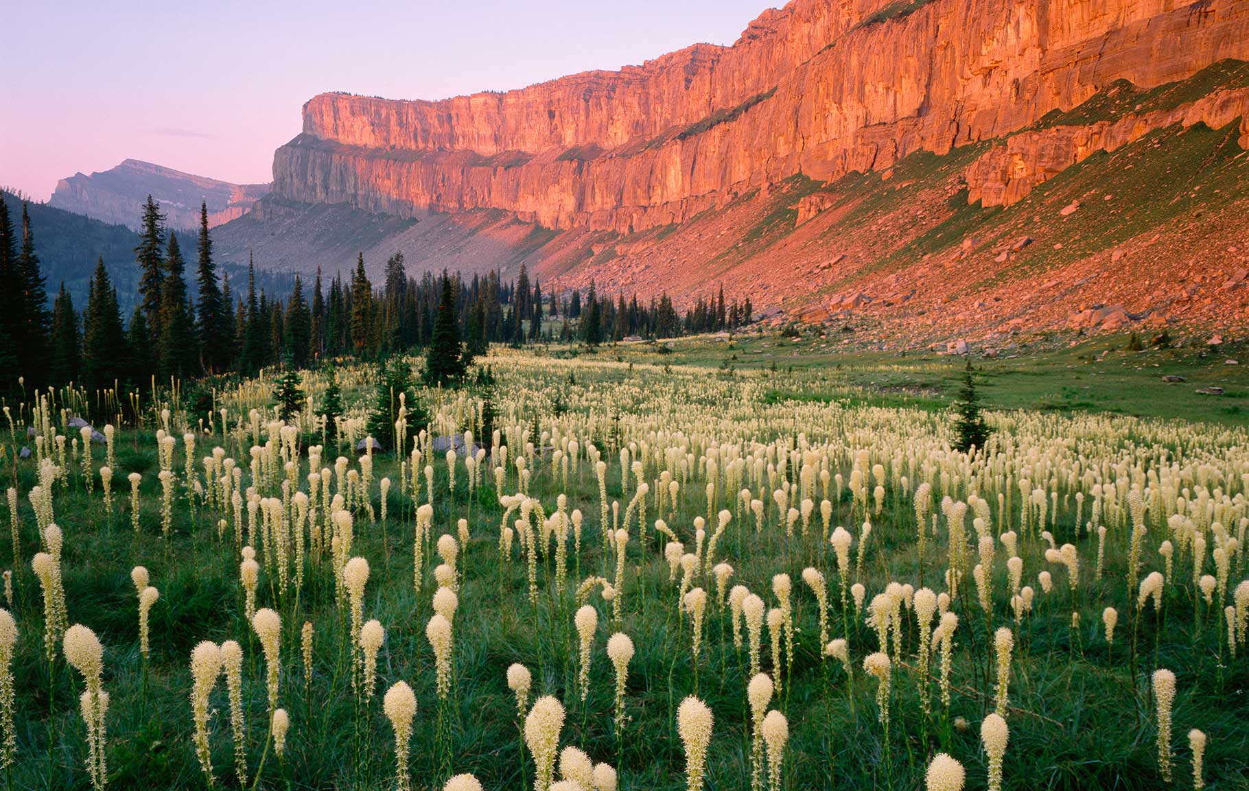 Chinese Wall Bob Marshall Wilderness, Montana