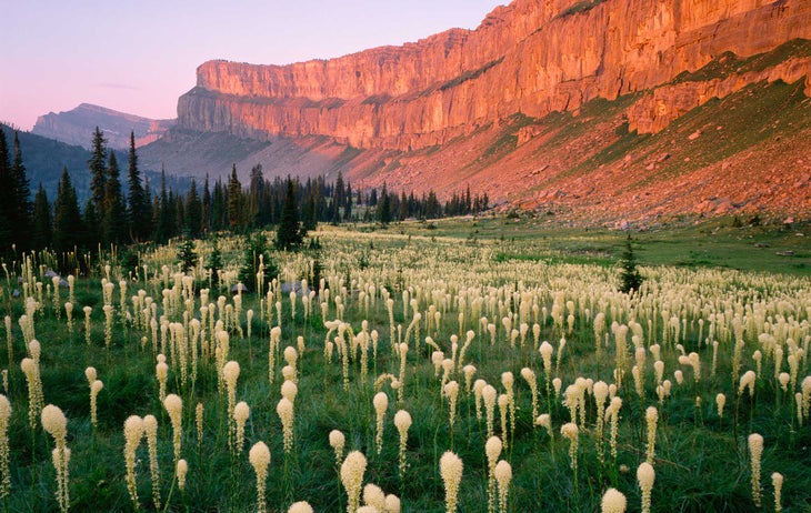 The Chinese Wall (continental divide) in the Bob Marshall