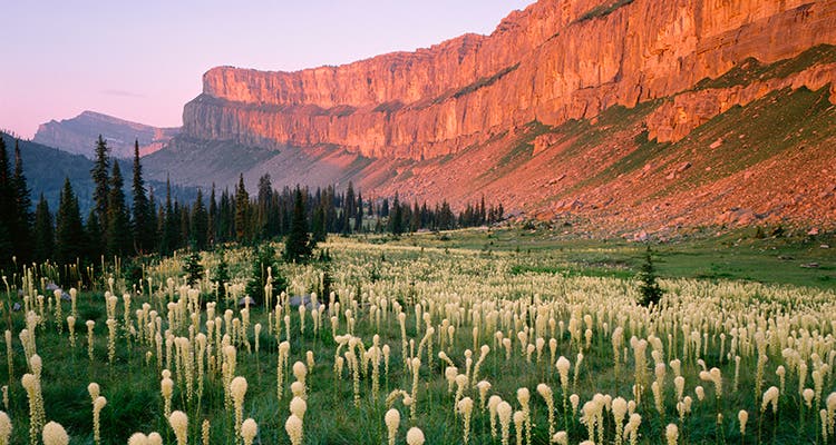 Chinese Wall Photo by Carr Clifton