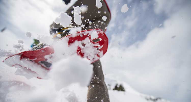 TSL Symbioz Elite Snowshoes