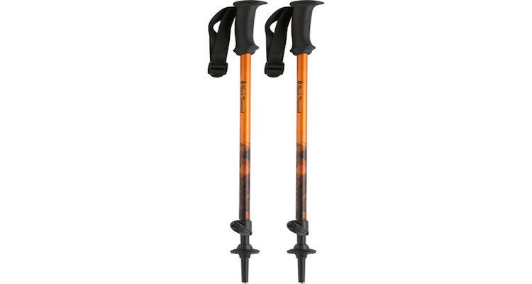 FOR KIDS: Black Diamond First Strike Poles Black Diamond First Strike poles