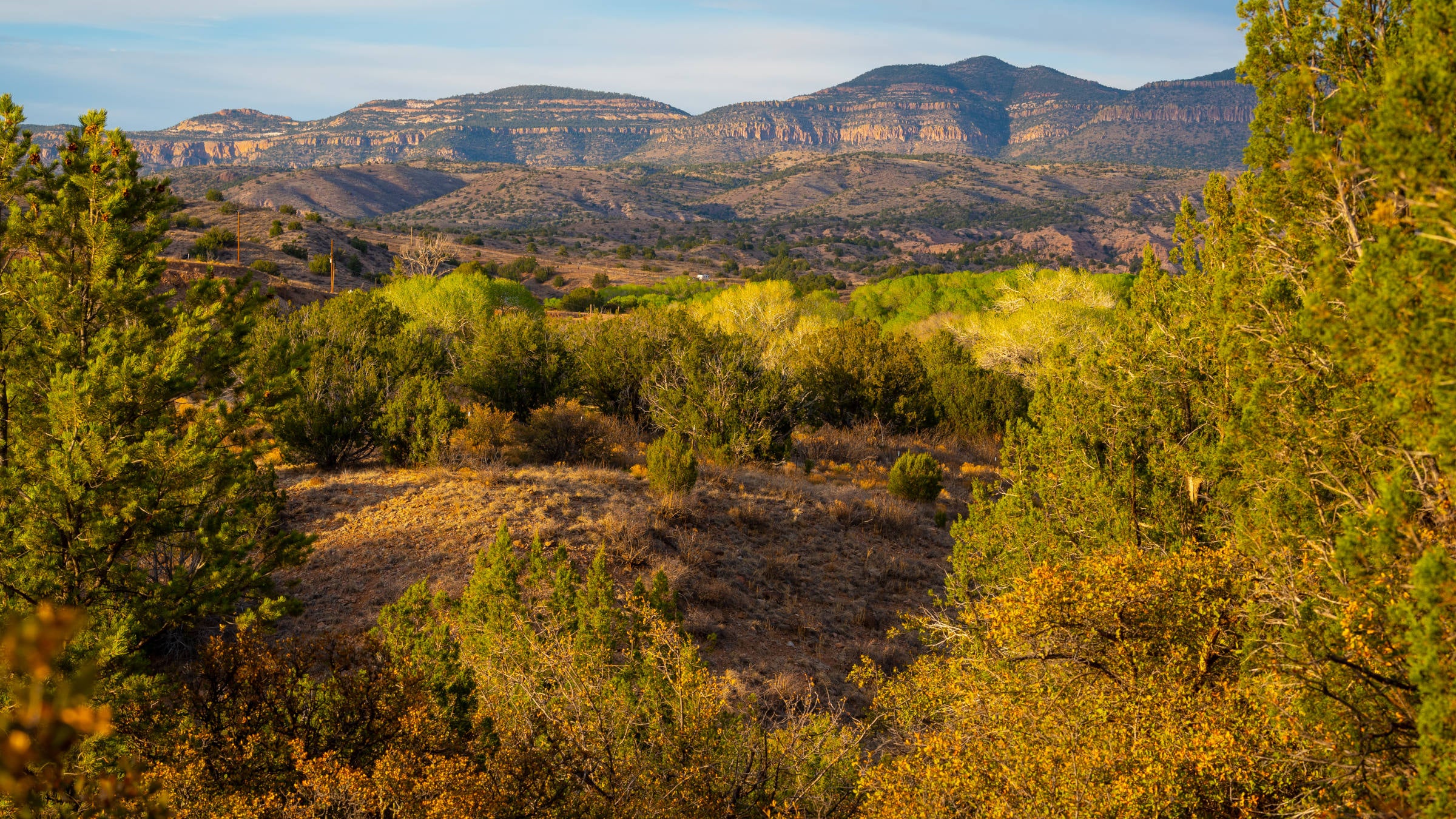 Gila National Forest