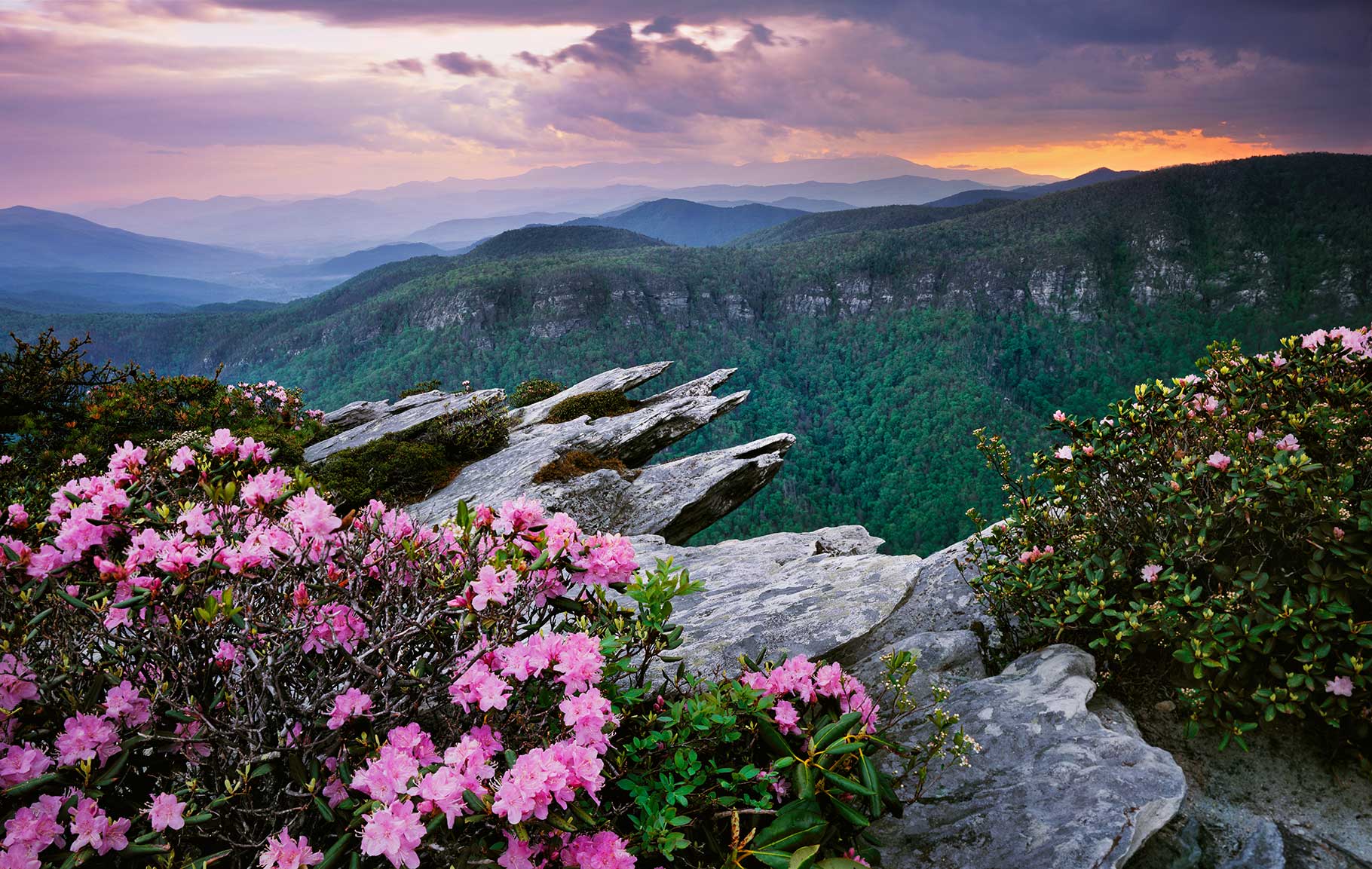 Hawksbill Mountain Linville Gorge Wilderness, North Carolina Hawksbill Mountain Linville Gorge Wilderness, North Carolina