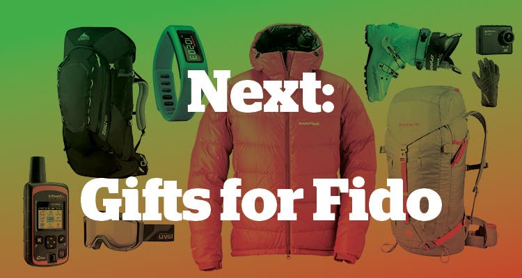 Next: Gifts for Fido None