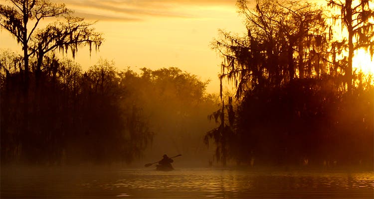 Paddling through Atchafalaya Basin Louisiana Paddling through Atchafalaya Basin Louisiana image by Gary Meyers