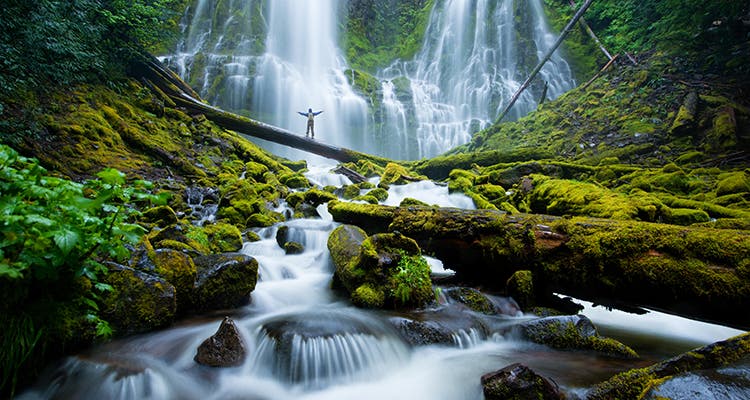 Proxy Falls Oregon image of the lower proxy falls oregon by travis burke