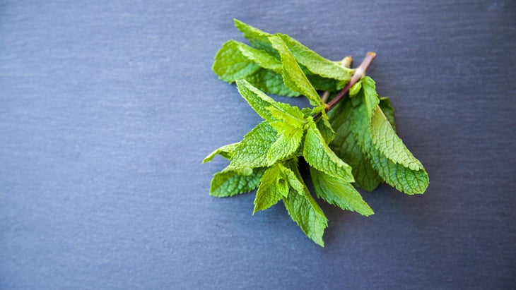 Stoveless Hiking recipes- Mint coffee