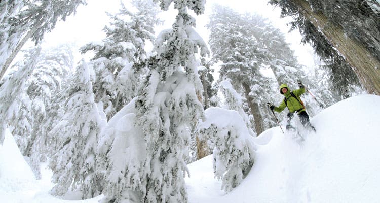 On downhills in soft snow, take big, plunging steps. (Photo by Rich Wheater)