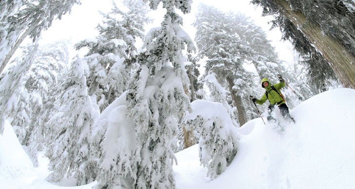 Snowshoe_Wheater_firstlake23_750x400 On downhills in soft snow, take big, plunging steps. (Photo by Rich Wheater)