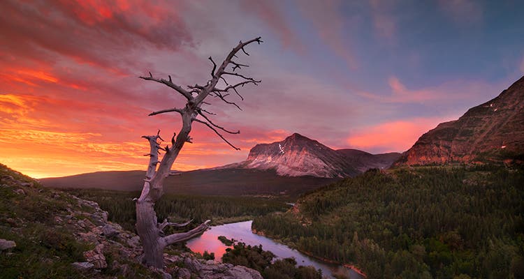 image of sunrise at swiftcurrent lake by pat and tom leeson
