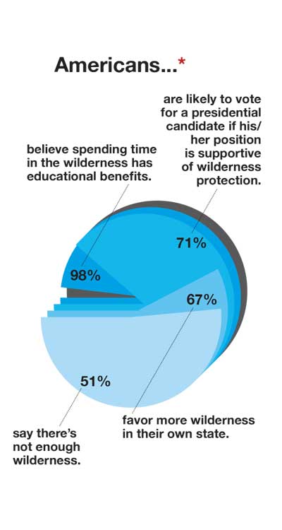 Survey Says Pie Chart
