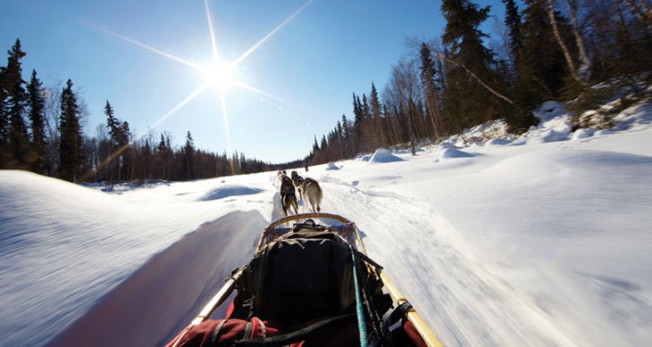 The Open Road Alaskan dog sledding scenic photo (Photo by Chris McLennan)