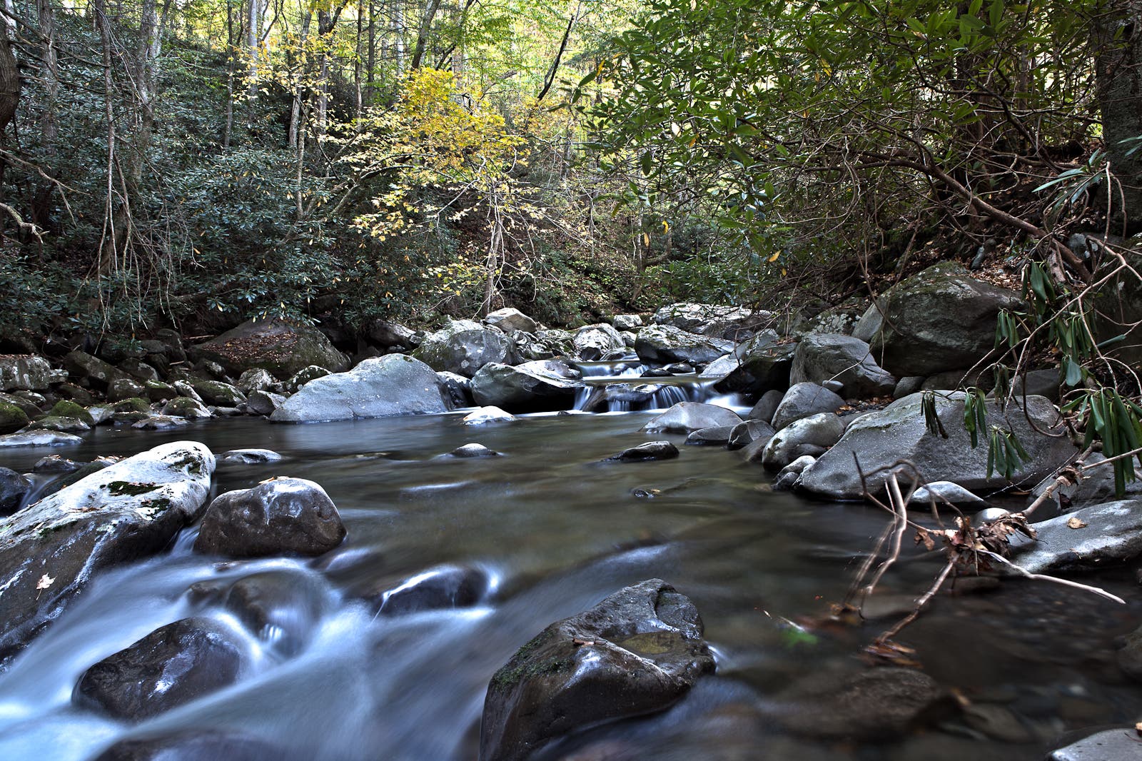 creek in great smoky mountains