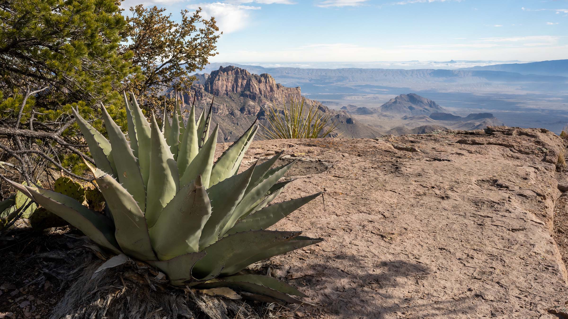 Big Bend South Rim Trial