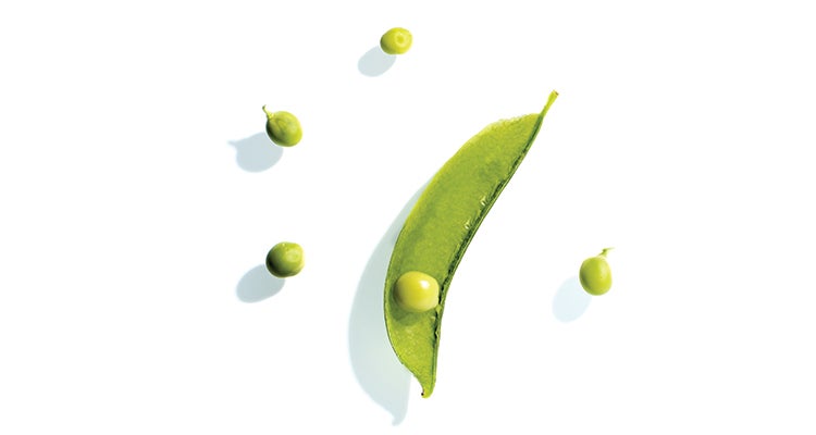 "Find the Ultimate Hiking Partner"