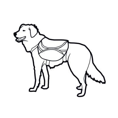 dog_packing_400x400 None