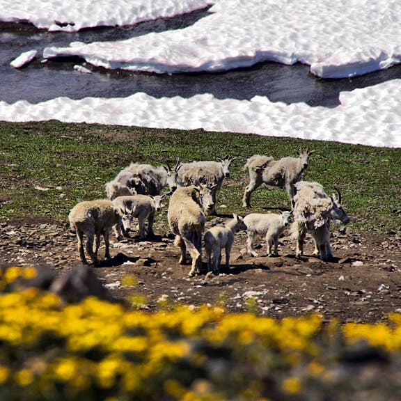 Life as a Wilderness Ranger
