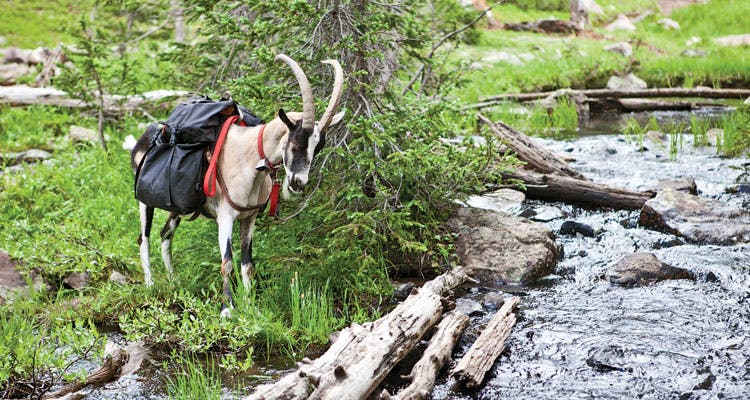 BACKPACKER's 10 Best Stories of 2014