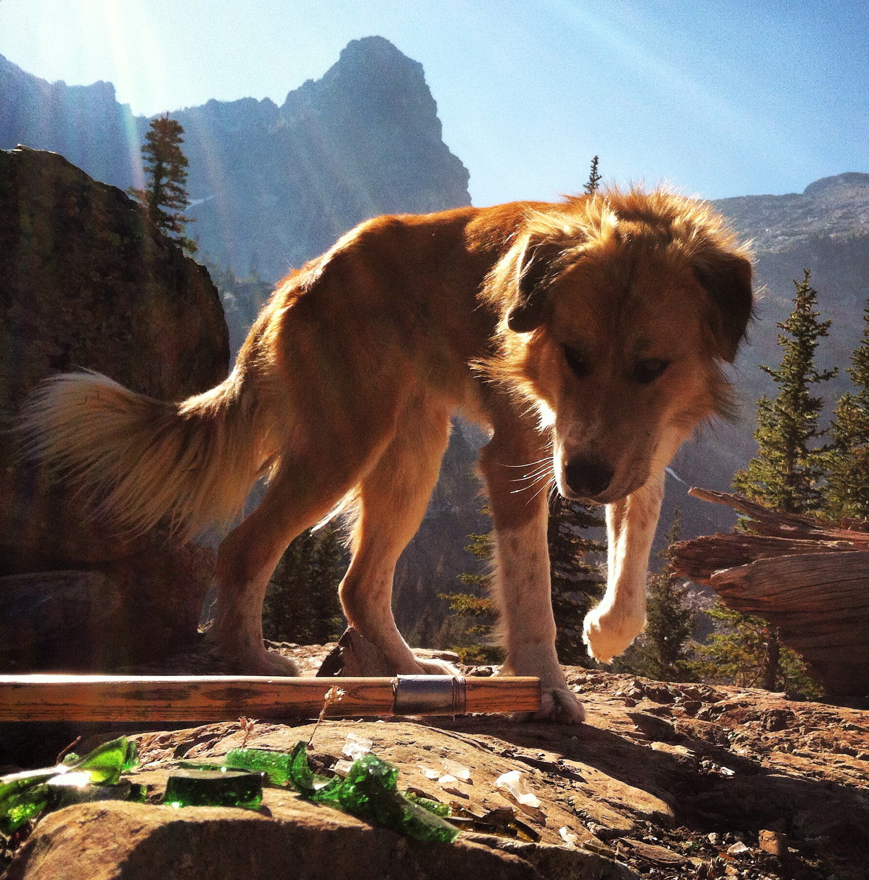 Life as a Wilderness Ranger