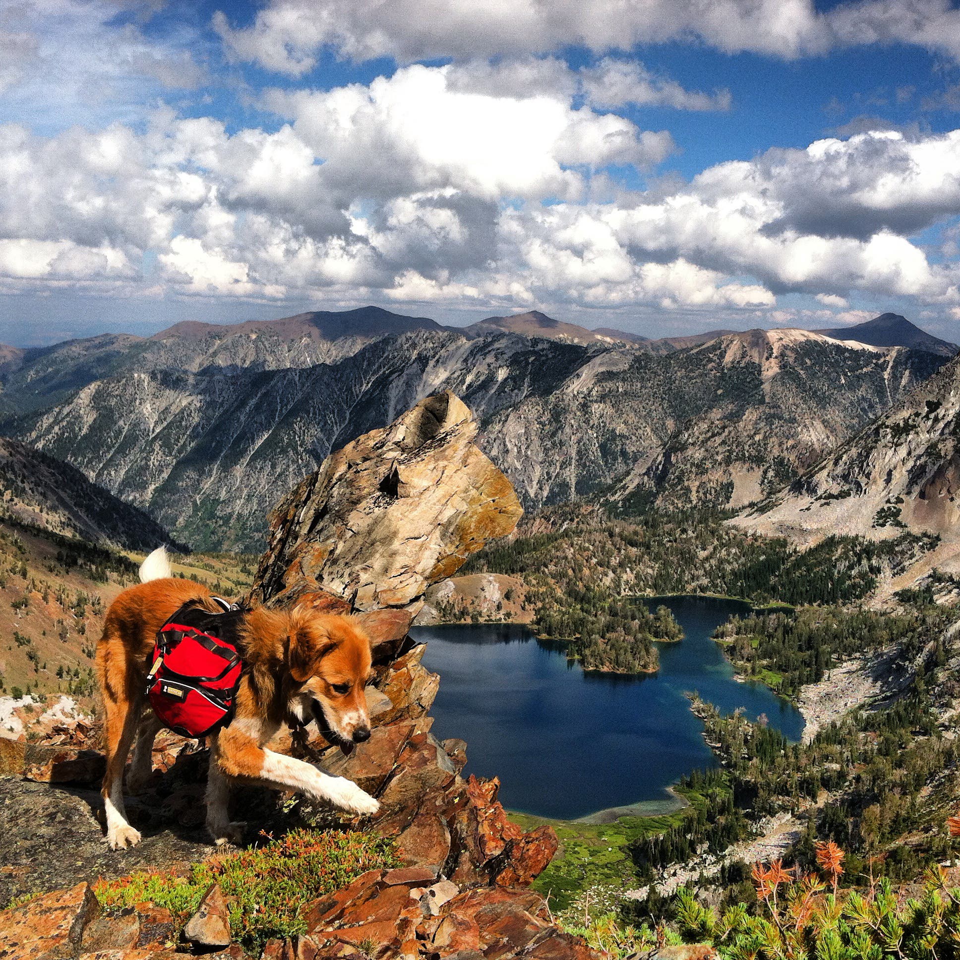 Life as a Wilderness Ranger