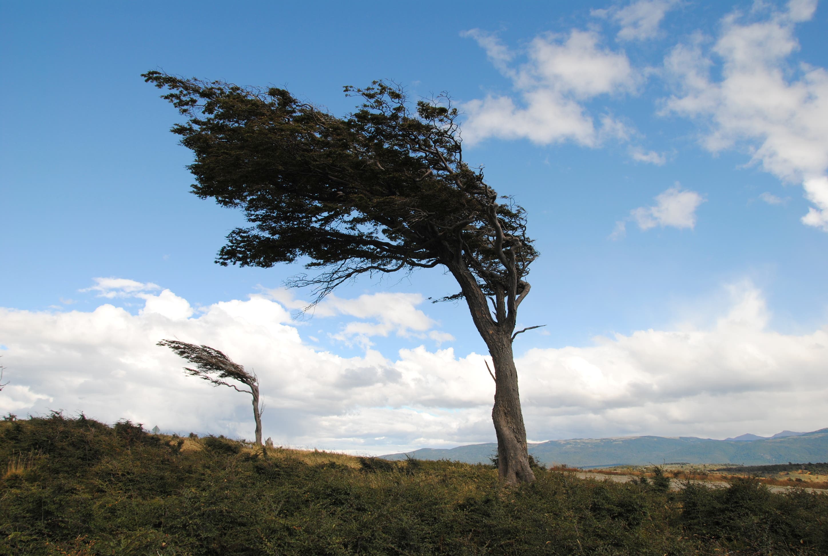 Pee into the wind. 10 Things You Should Never Do