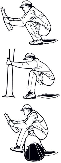 poop-in-woods_full how to poop in the woods illustration by supercorn