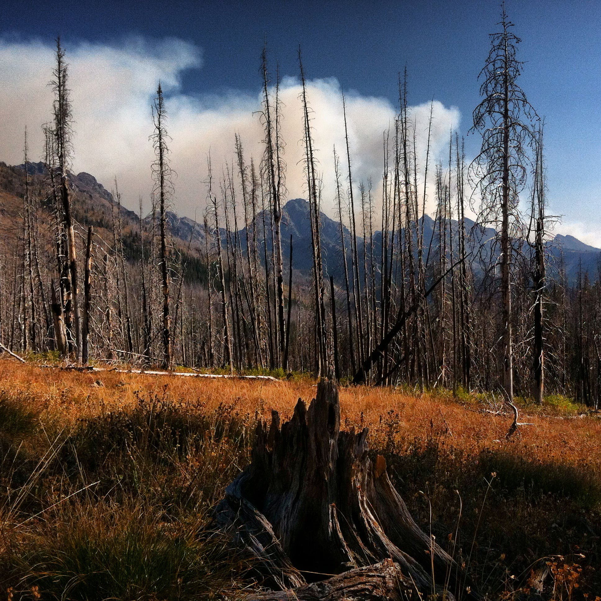 Life as a Wilderness Ranger