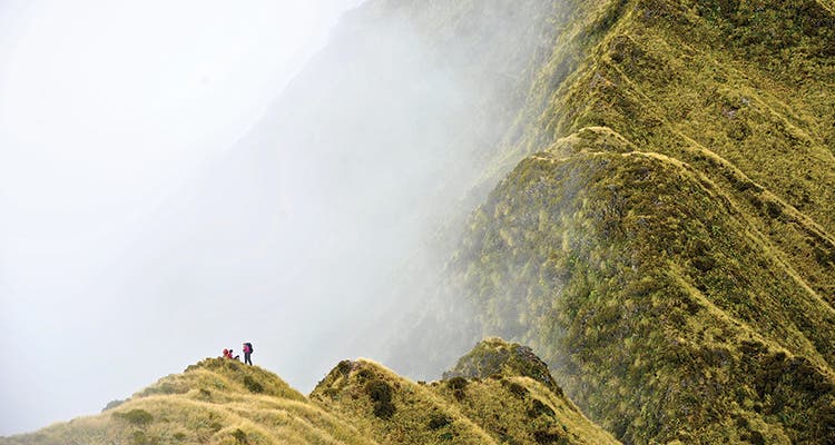 Dickey Ridge in mist