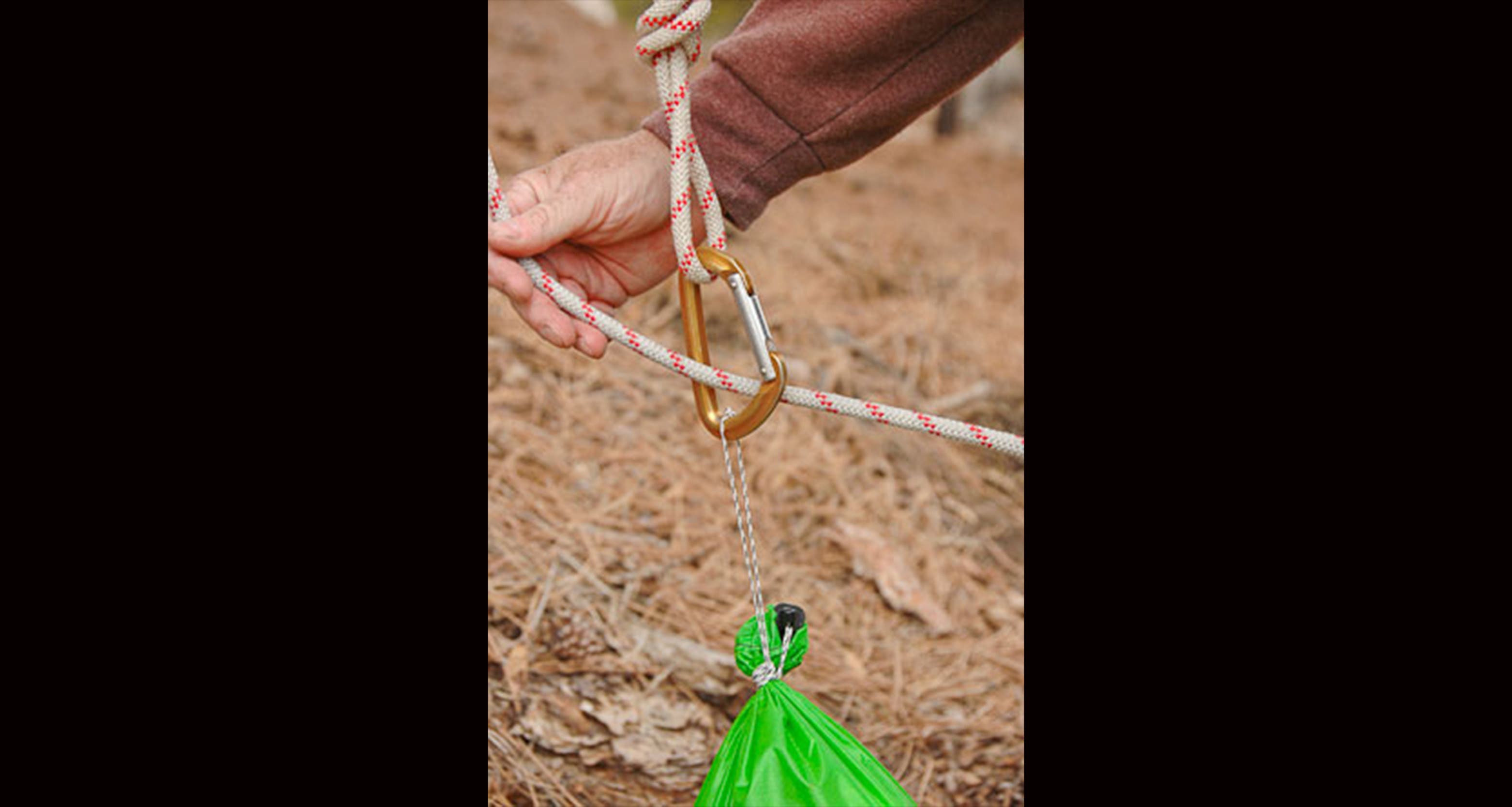 Yank too hard on the bear bag line. 10 Things You Should Never Do