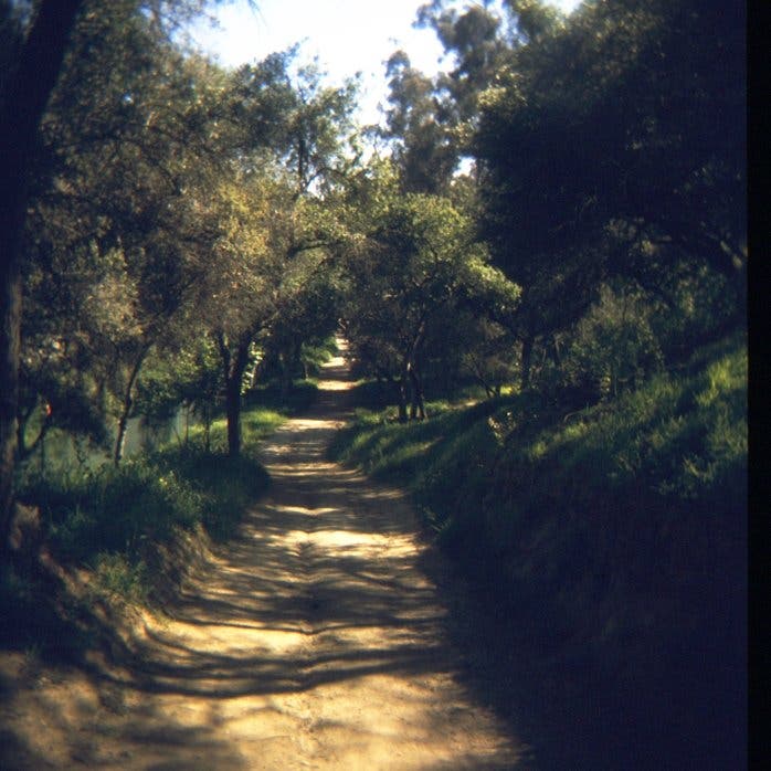 A nice green path through the forest in Balboa Park. Osborne / Flickr