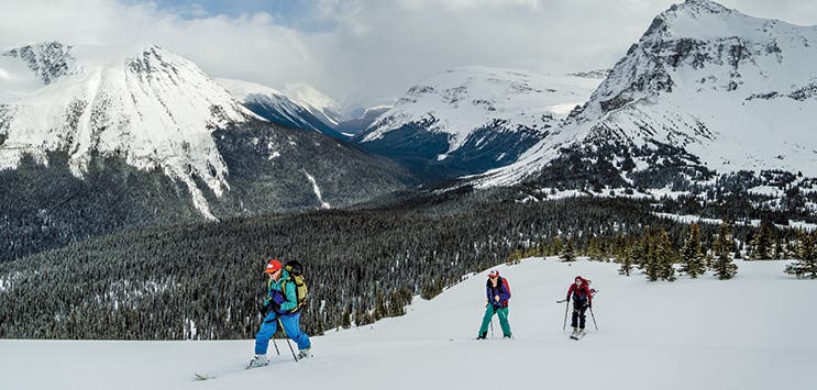 Testers ascend above treeline in the Punchbowl [photo: Ben Fullerton]