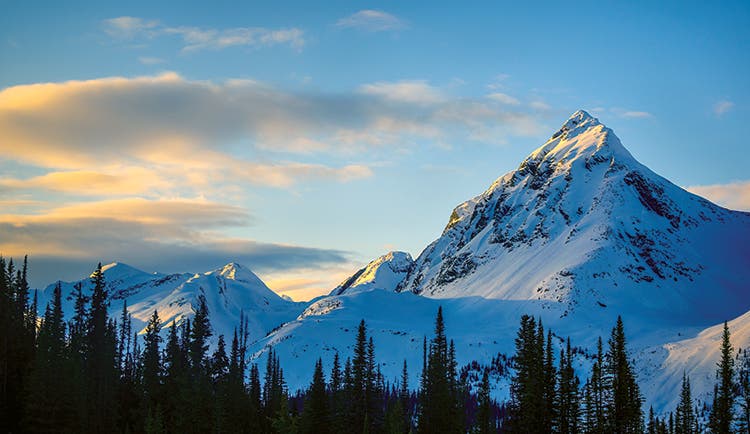 Mallard Peak (9,302 feet)  stands directly across the valley. [photo: Ben Fullerton]