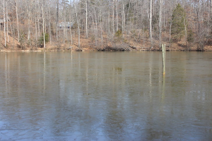 Dragonfly Pond Dragonfly Pond