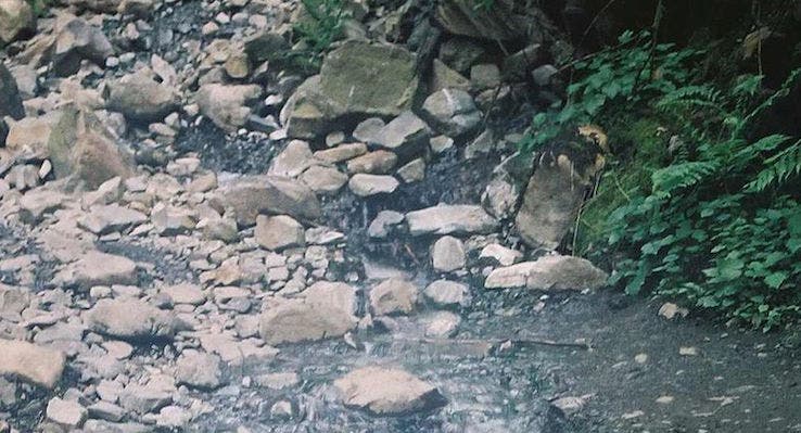 Olympic Hot Springs, Olympic National Park, WA Wander two-and-a-half miles down the Boulder Creek Trail in Olympic National Park to simmer amongst the lush trees of the Olympic National Forest.…