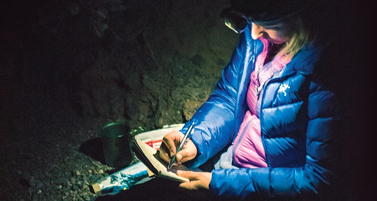 la sportive synthesis in use