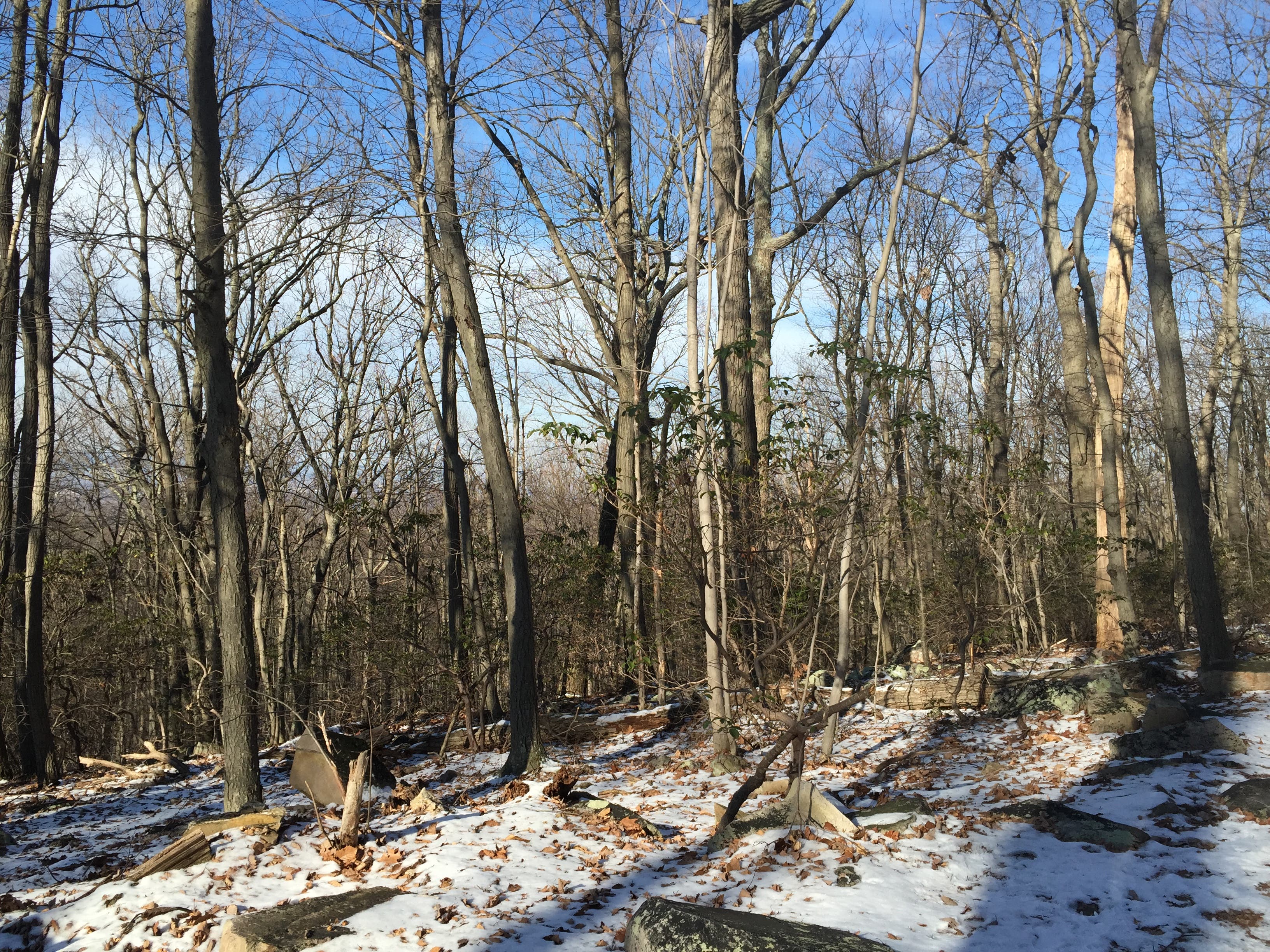 Sugarloaf Mountain, Maryland [Photo by Matt Mills]