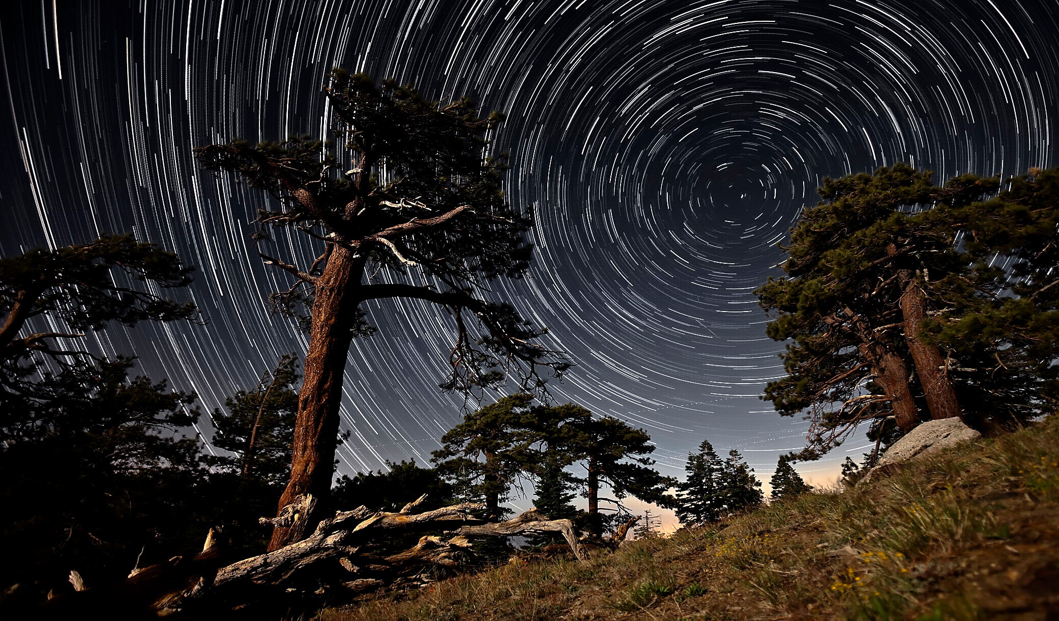 night time photography stars