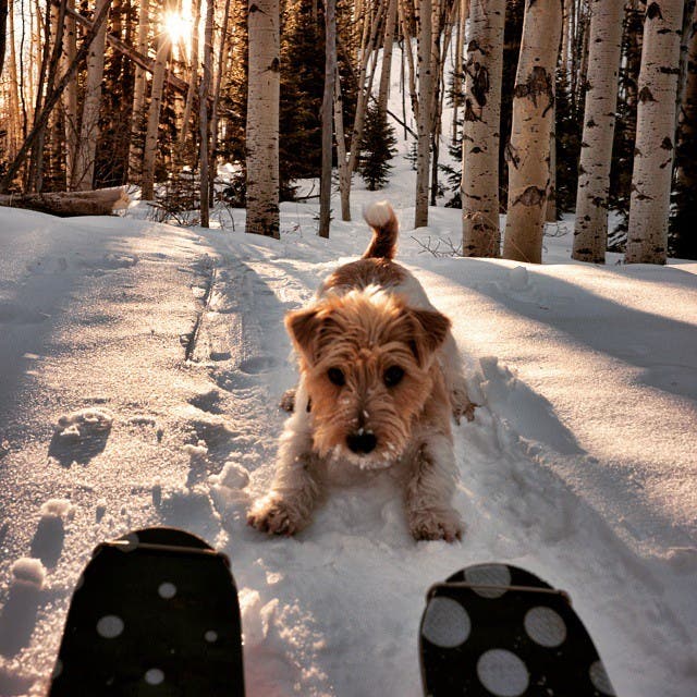 Ann Driggers Best Outdoor Women of Instagram