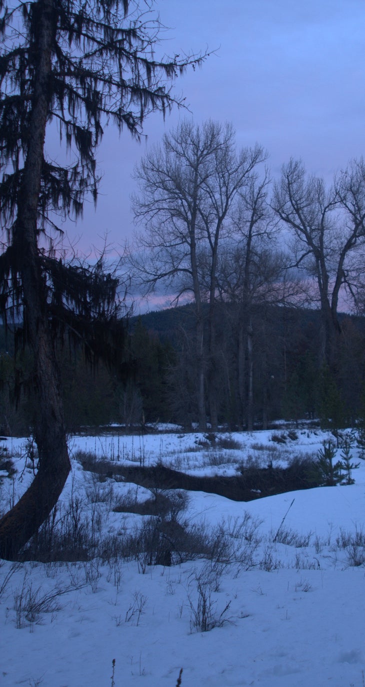 Dry Creek at dusk Dry Creek at dusk