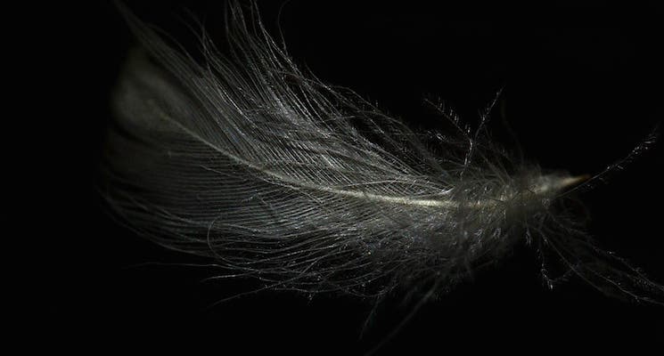 gear terms dictionary