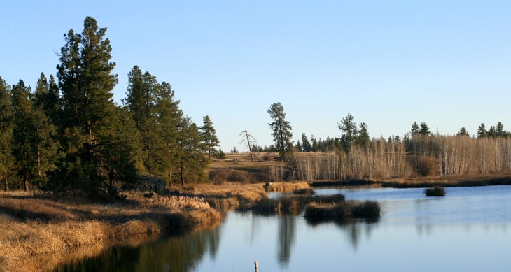 Pine Lake Pine Lake