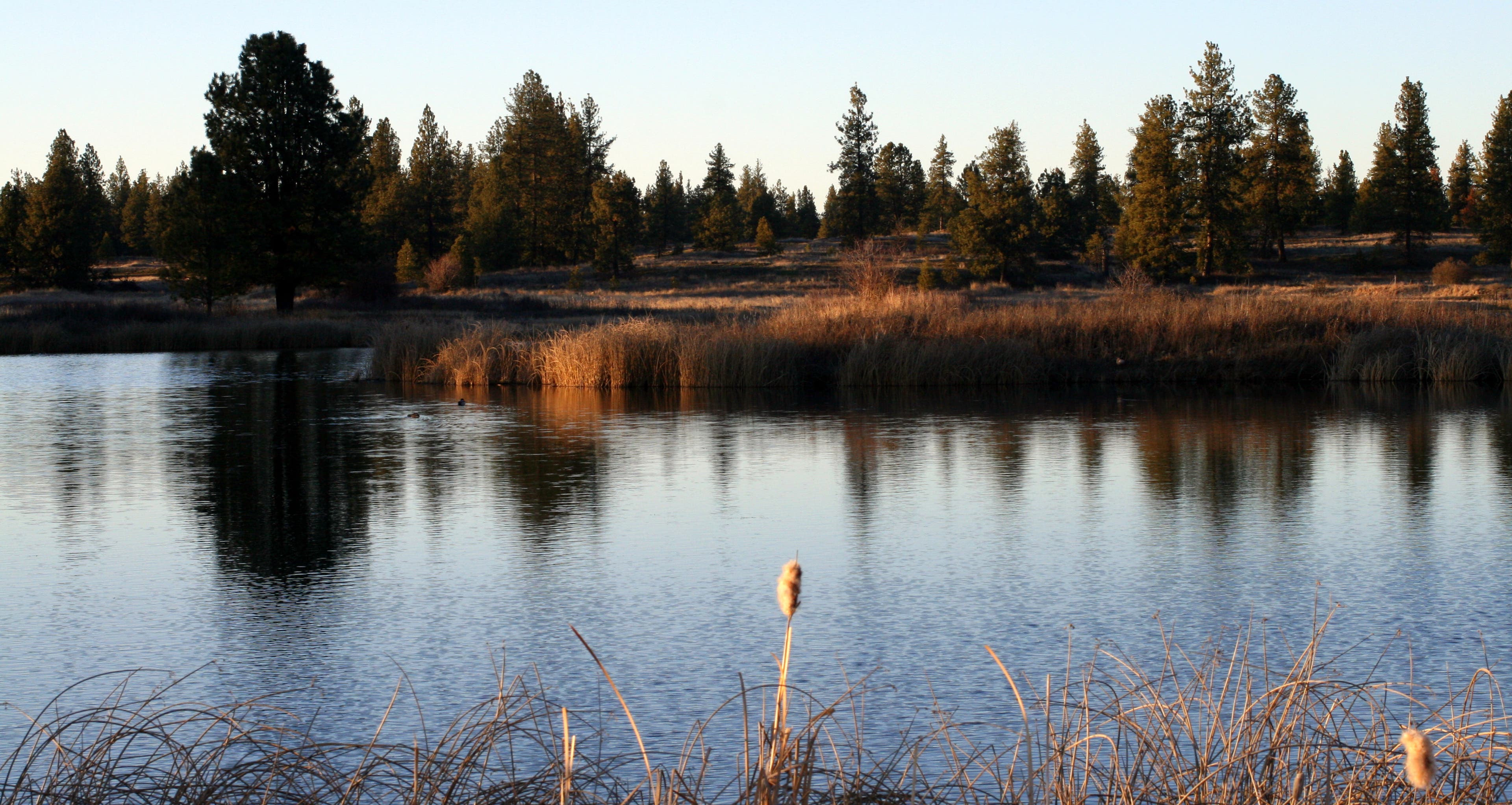 Reflections Reflections