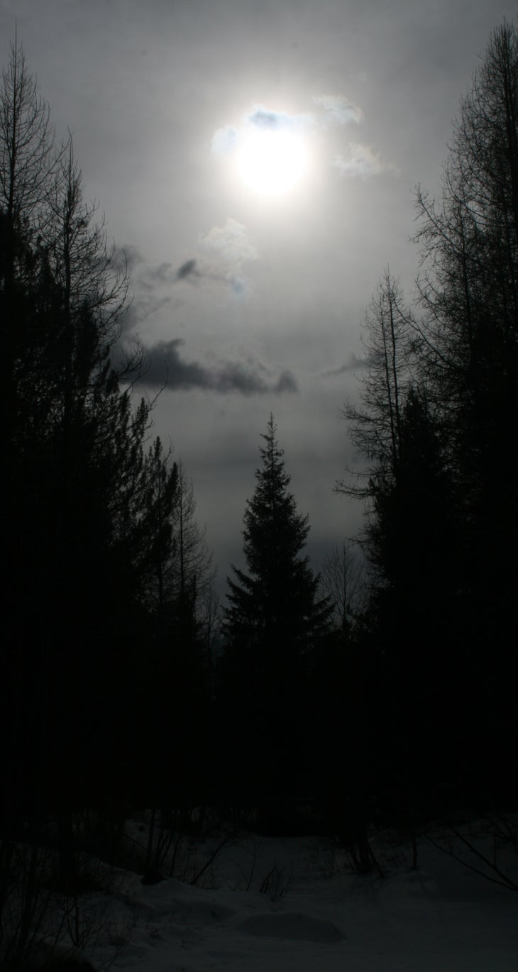 Shadows Shadows