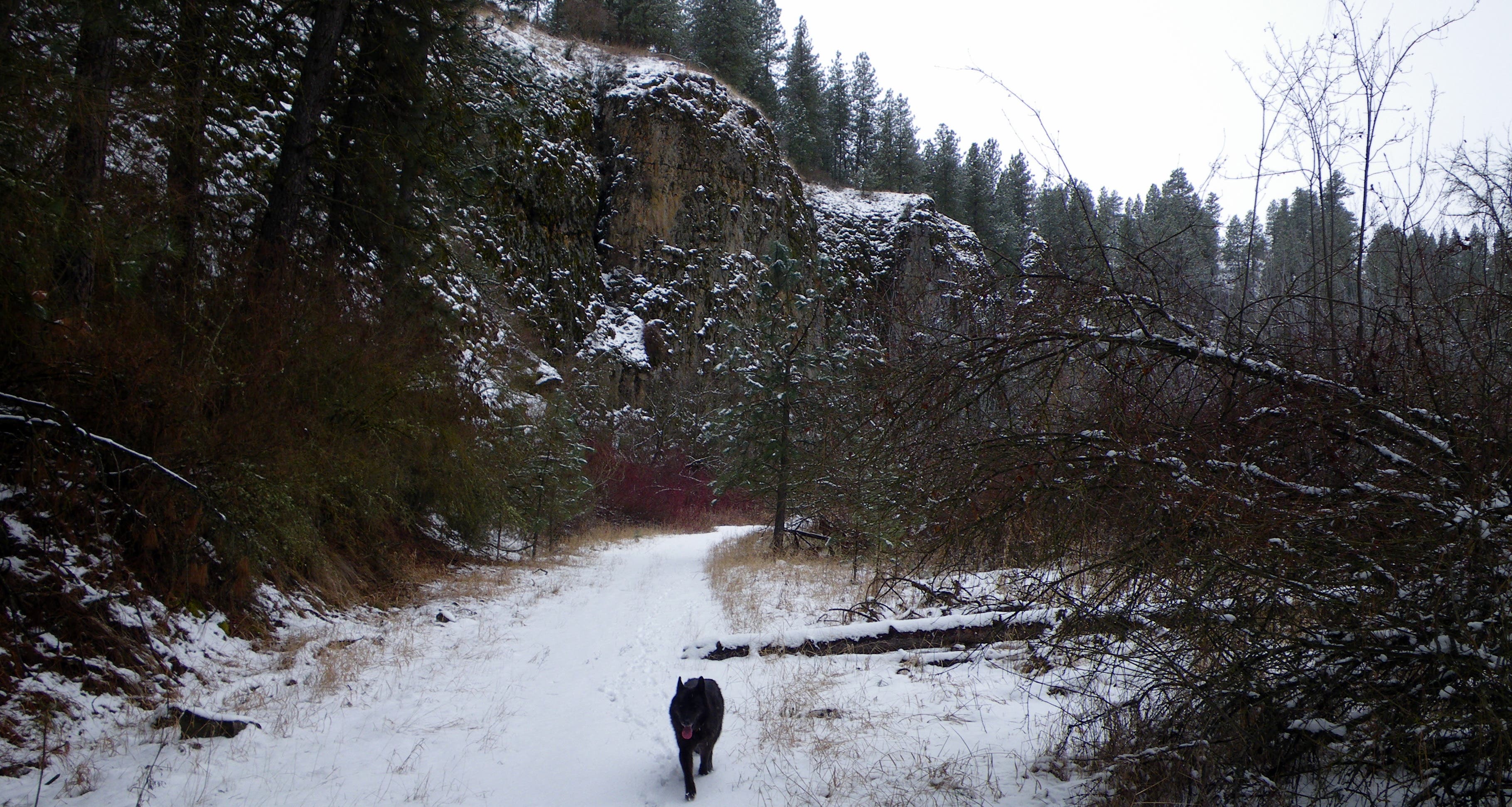 Basalt cliffs border the river Basalt cliffs border the river