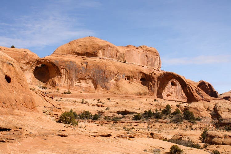 Bowtie & Corona Arches Bowtie & Corona Arches