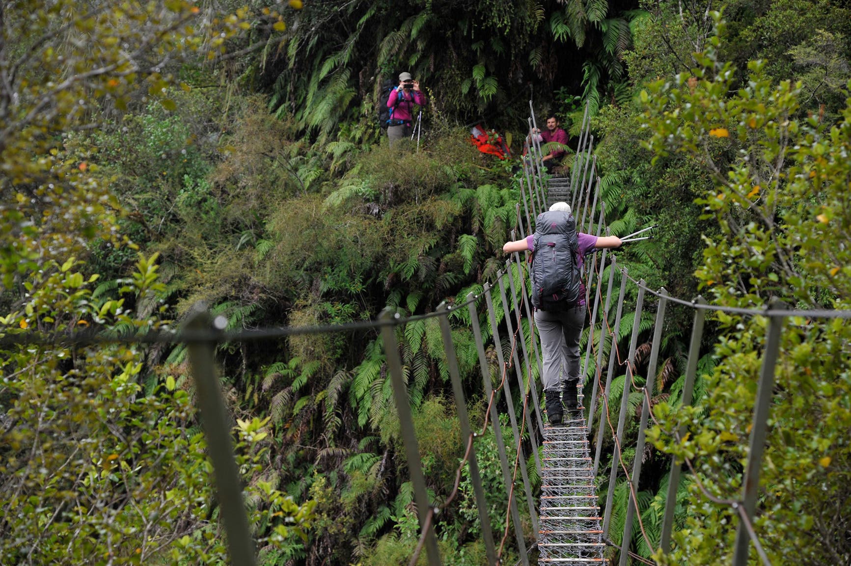 New Zealand - Hage - bridges