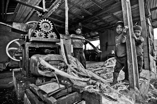 DanHolz_PhotoMonth_FAVE Dan Holz image from Ecuador