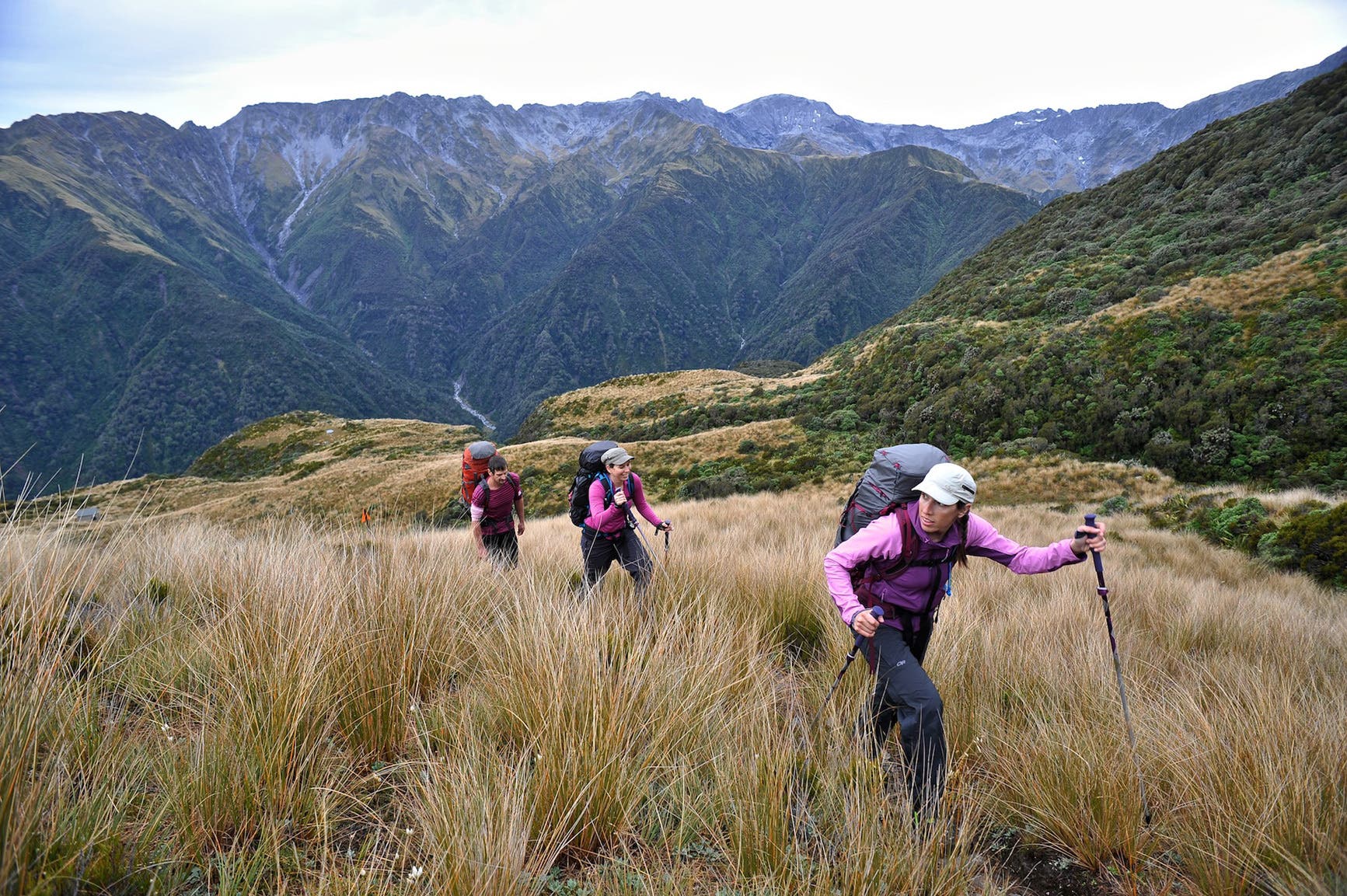 Dickie Spur Hut New Zealand - Hage - Dickie Spur Hut
